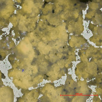 K-Pg Extinction: The Chicxulub Asteroid Impact vs the Deccan Traps Volcanism