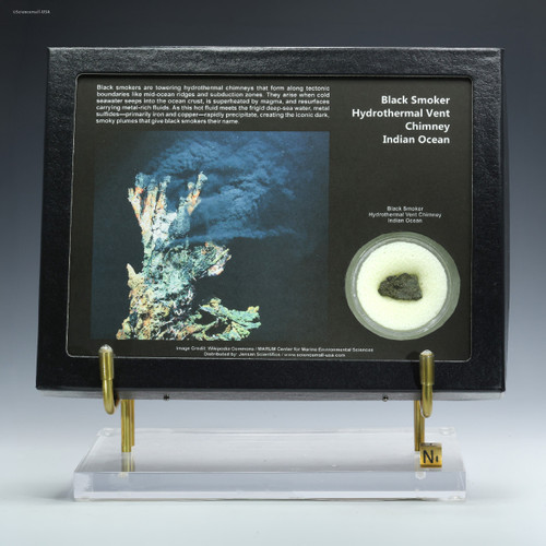 Black smoker hydrothermal vent chimney in a Riker display case, Specimen ID:12609 Sciencemall-USA