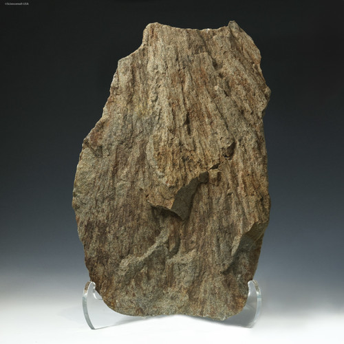 Large Beaverhead shatter cone 10.1 lb facing front, Specimen ID:87883, Sciencemall-USA