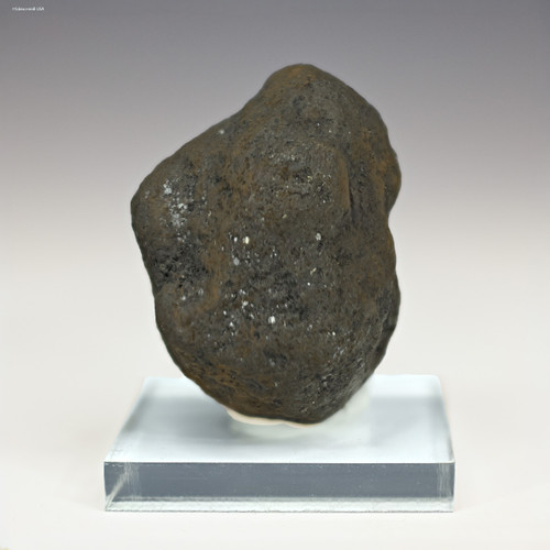 Complete 58 g front-facing polymetallic manganese nodule from the Clarion-Clipperton Zone on a display stand, at Sciencemall-USA