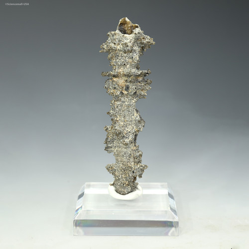 Front-facing fulgurite lightning sand "Champion" shown on a plexiglass riser, Sciencemall-USA