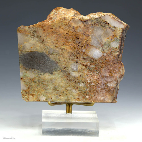 Front-facing Jack Hills metaconglomerate from Erawondoo Hill on a display riser, Sciencemall-USA Front-facing Jack Hills metaconglomerate from Erawondoo Hill on a display riser, Sciencemall-USA
