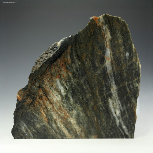 Front-facing Idiwhaa Acasta Gneiss 978g, for sale at Sciencemall-USA