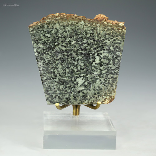 Front-facing Komatiite from Barberton, South Africa, 55g, at Sciencemall-USA