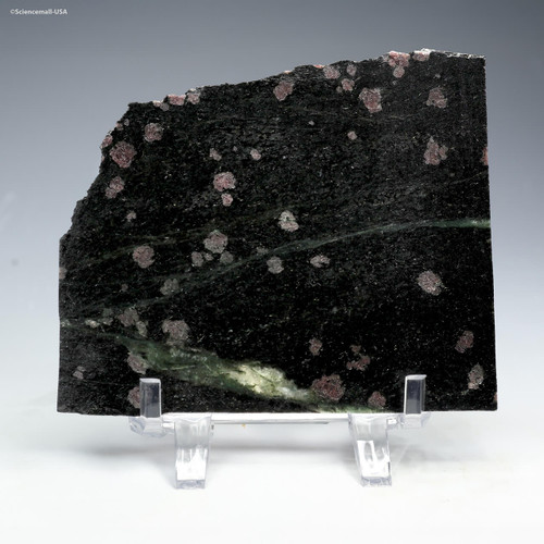 Front-facing Nuvvuagittuq faux amphibolite garnet paragneiss on display stand, Sciencemall-USA