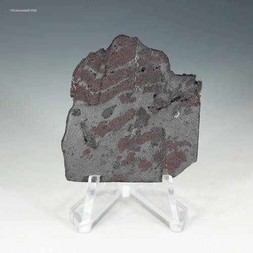 Front-facing Nuvvuagittuq garnet paragneiss on a display stand, 4.3 Ga for sale at Sciencemall-USA Front-facing Nuvvuagittuq garnet paragneiss on a display stand, 4.3 Ga for sale at Sciencemall-USA