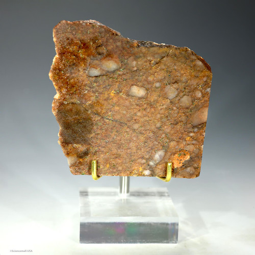 Front facing Jack Hills zircon rock metaconglomerate 212 g, Australia on a plexiglass riser, Sciencemall-USA