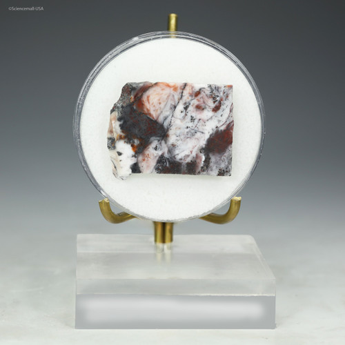 Apex Chert Archean rock specimen (microfossil bearing), 6.4 g - Front view. Top-tier specimen, at Sciencemall-USA