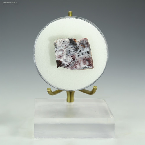 Apex Chert Archean (microfossil-bearing) rock specimen, 4 g - front view, Sciencemall-USA