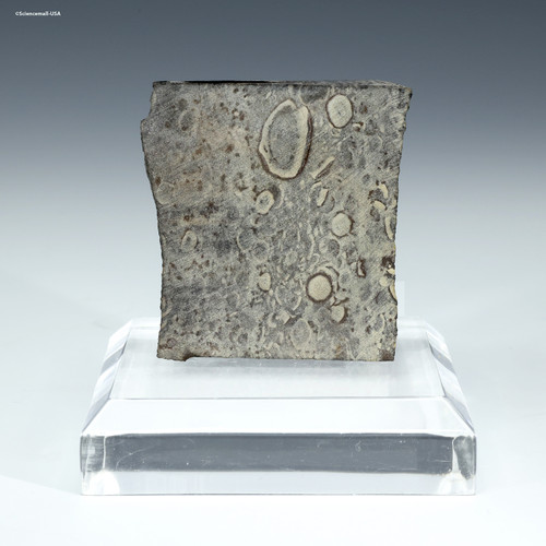 Volcanic accretionary lapilli Antarctica, ID:75758, facing front - Sciencemall-USA