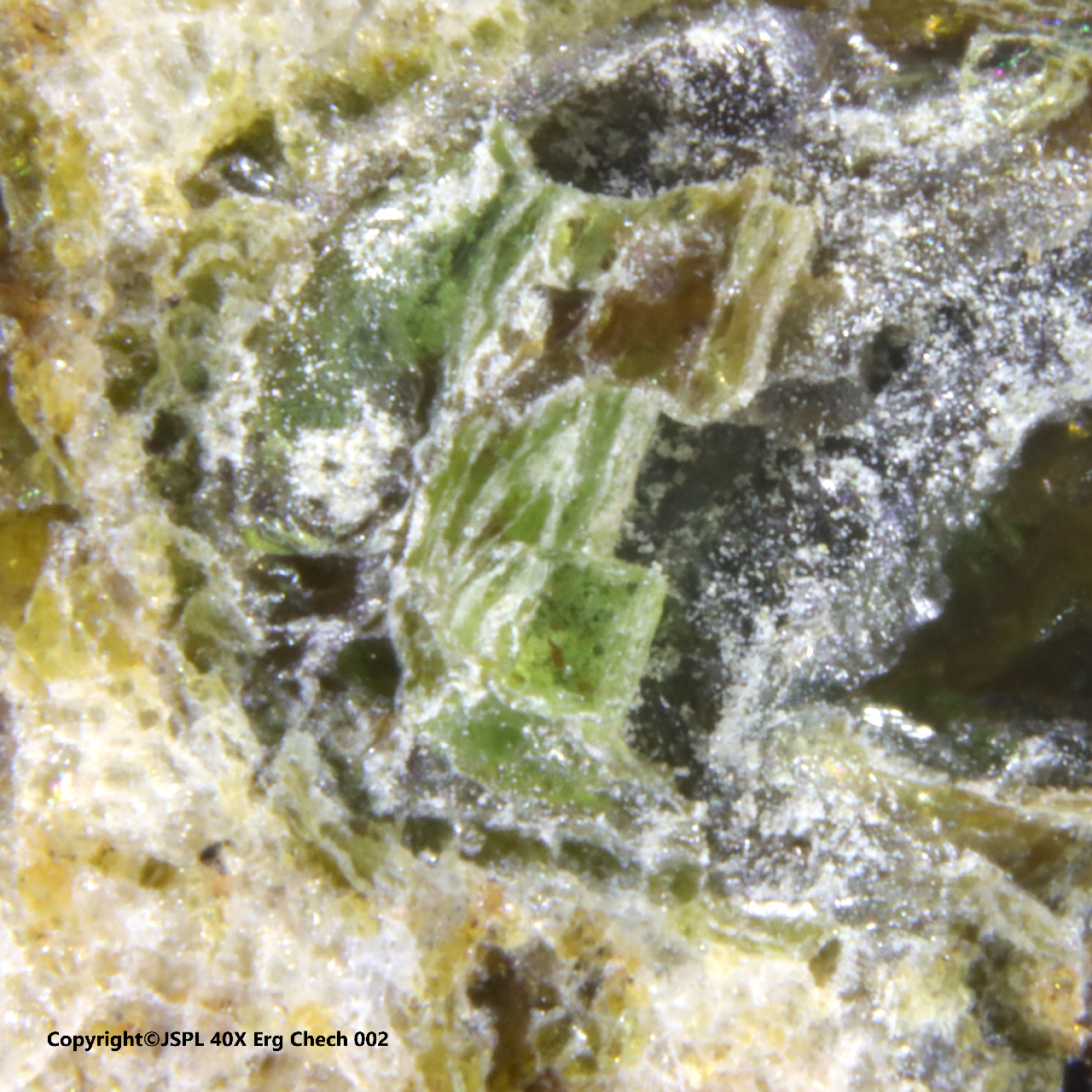 Comparing Erg Chech 002 and Allende Meteorites Oldest Rocks