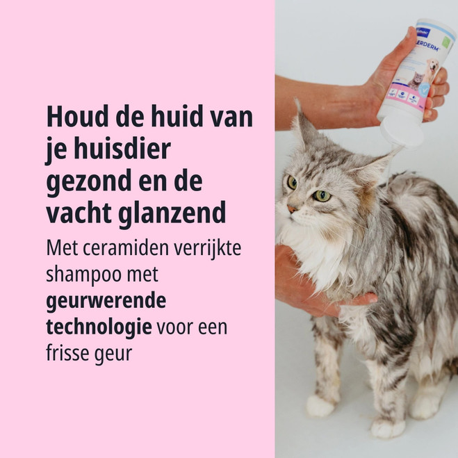 NL_Allerdem-Shampoo-Normal-Skin_Unity-visual_3_2026.jpg
