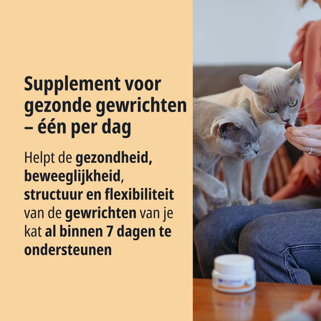 NL_Movoflex-cat_Unity-visual_2_2026.jpg