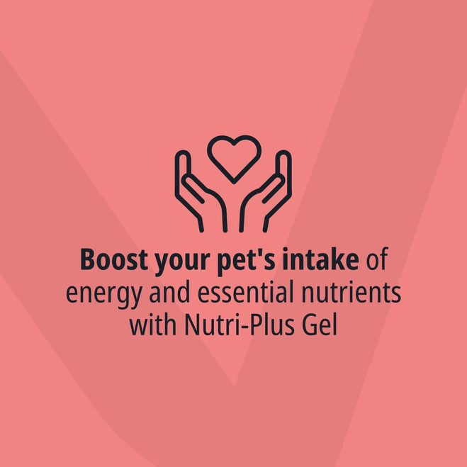 NL_Nutri-Plus-Gel-_Unity-visual_5_2026.jpg