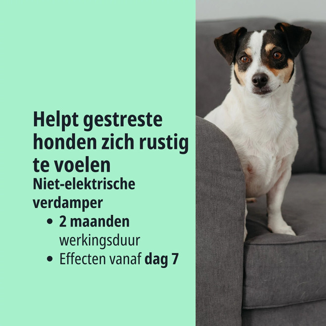 NL_Zenidog-Gel-Diffuser_Unity-visual_3_2026.jpg