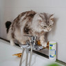 NL_Sebolytic-Shampoo_Unity-visual_5_2026.jpg