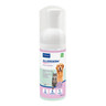309222_Bottle_Allerderm-foam_100ml_face.png
