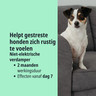 NL_Zenidog-Gel-Diffuser_Unity-visual_3_2026.jpg