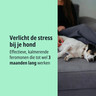 NL_Zenidog-Collar_Unity-visual_3_2026.jpg