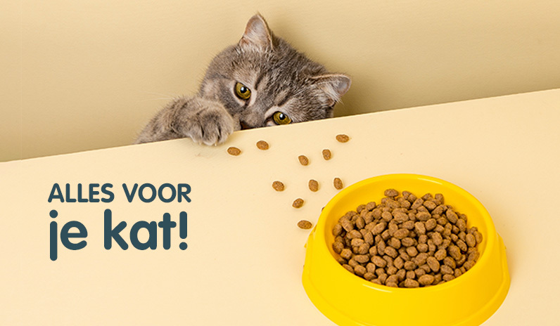 Alles voor je kat