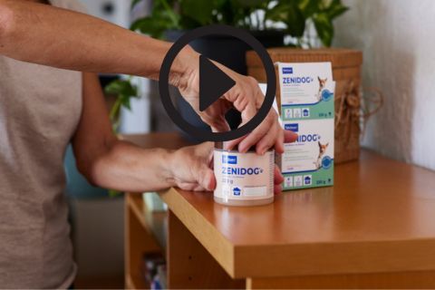 Zenidog Gelverdamper gerbruik