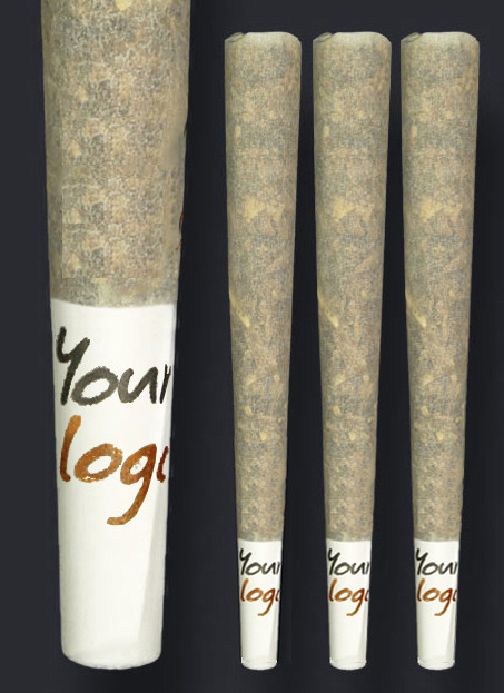 Custom Pre Rolled Cones Wholesale Joint Cones LuvBuds