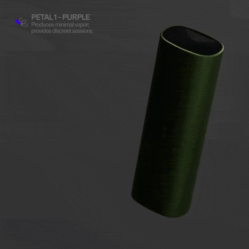 PAX - MINI 2, Onyx, Dry Herb