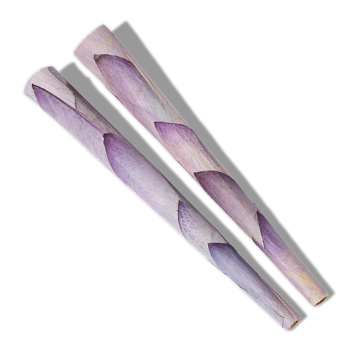 PETALS - 2pk Lotus King Cones, 12 Unit Retail Display