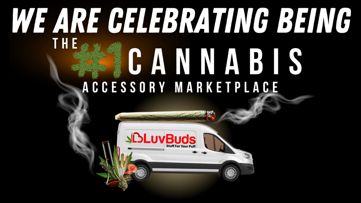 We are celebrating 10 years!