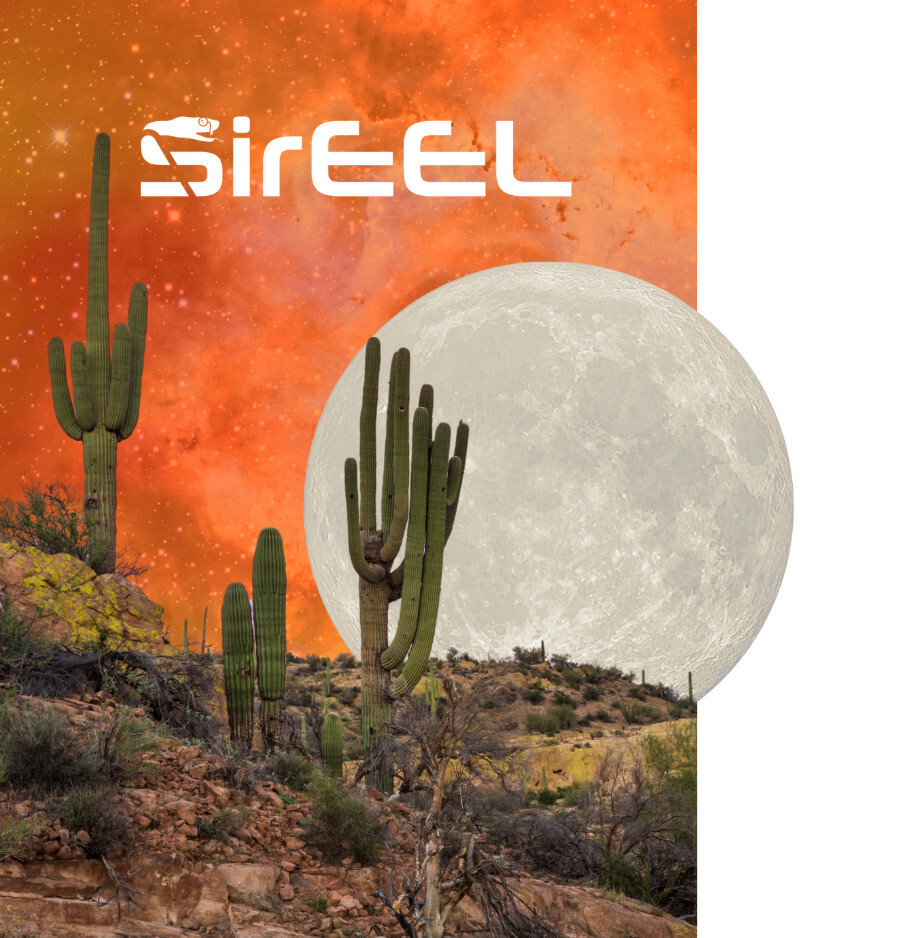 SirEEL Desert