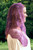 Wine Purple