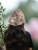 Mocha Soft Tulle with Starter Trim - After wearing often, the soft tulle of this Catholic chapel veil naturally settles perfectly to frame the head.