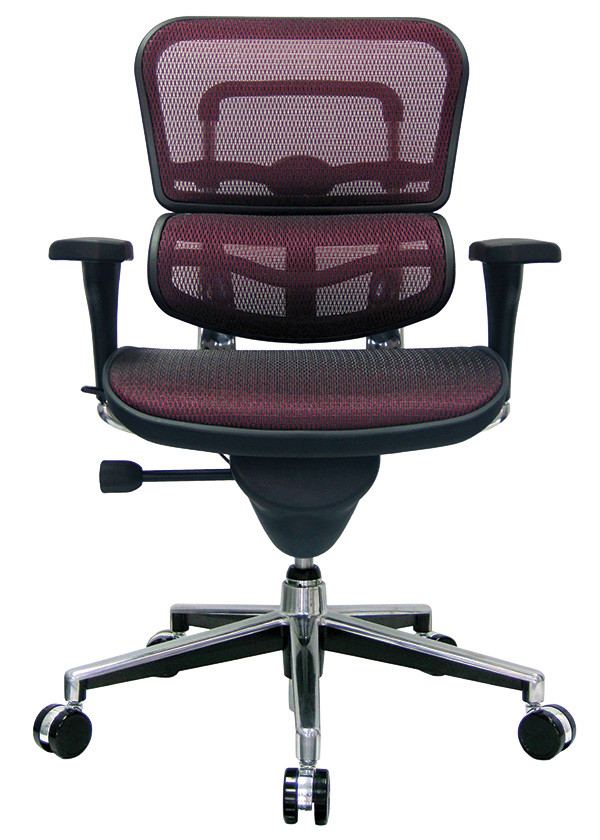 Ergo High Back Mesh - Raynor-NPP
