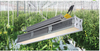 Grow Light