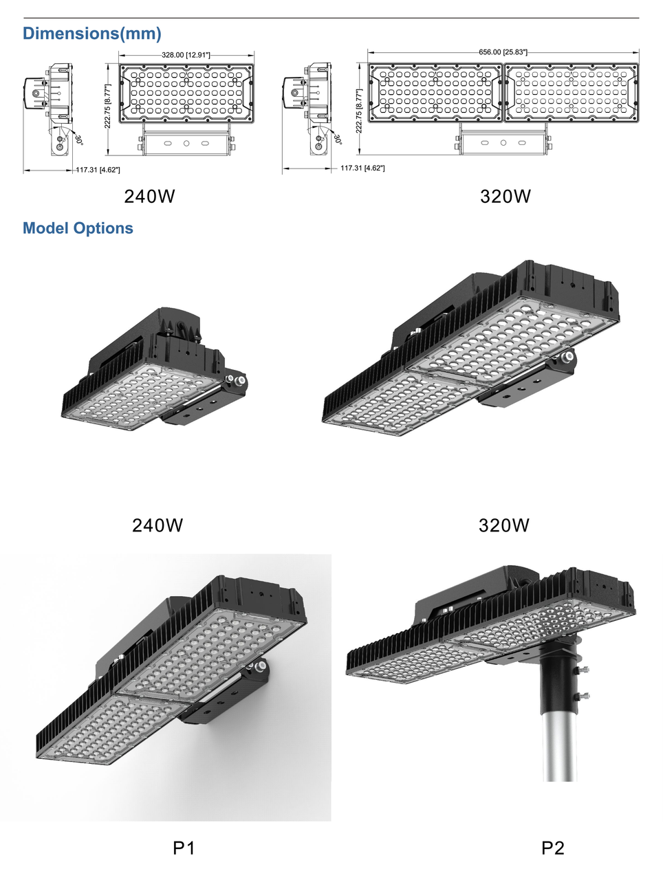 LED Pickleball Sports Lighter