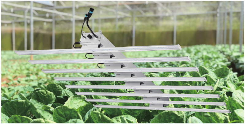 Grow Light Series VGL02