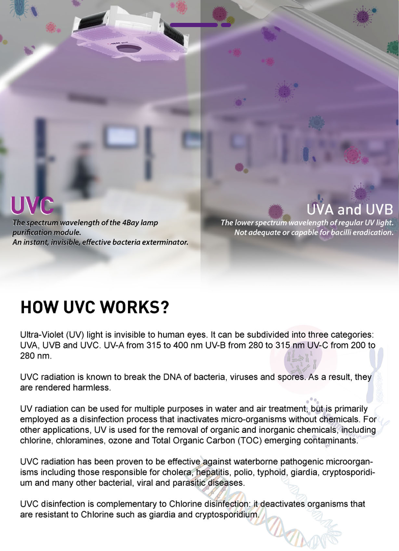 200w-uv-bay-cat-6.png