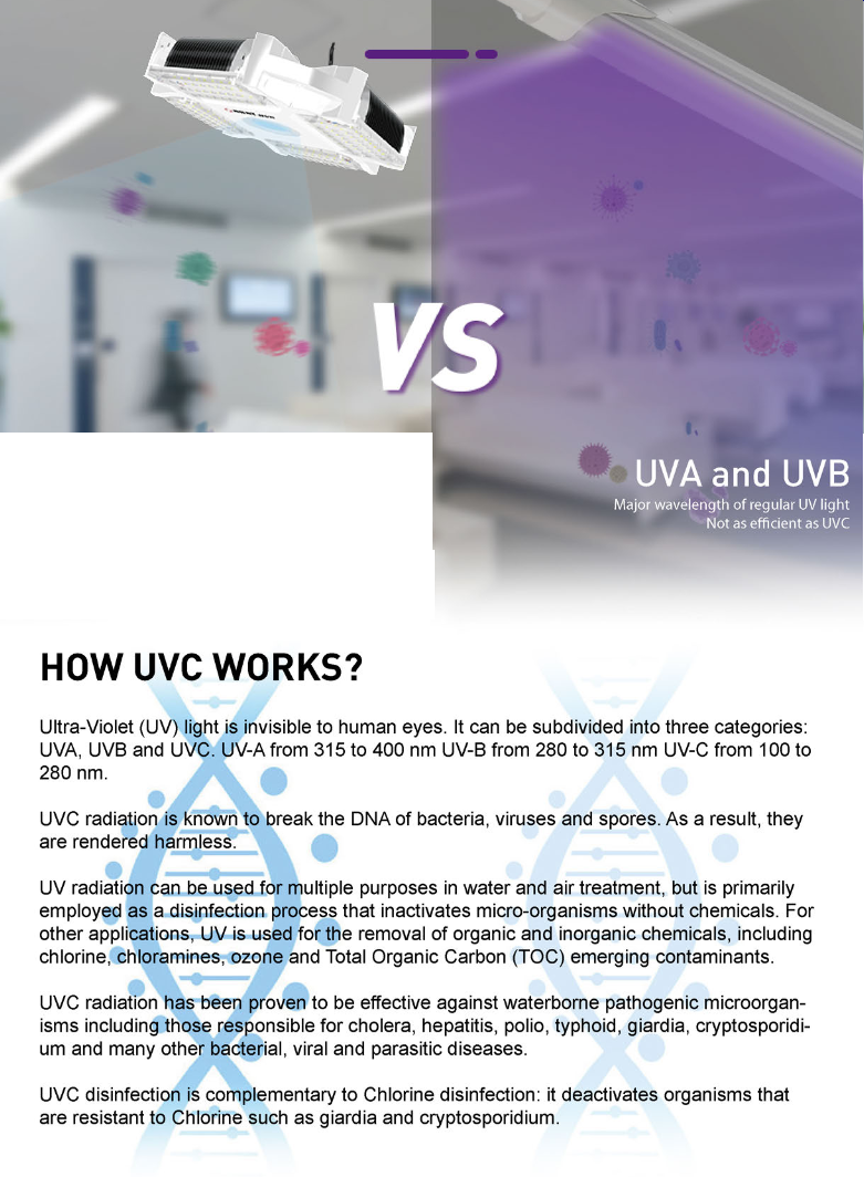 uv-bay-cat-3.png