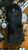 reversible wood head cover black sherpa camo knit washable reversible wood head cover black sherpa camo knit washable