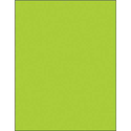 8-1/2 X 11 LSR GRN FLOR 1C/CA-161008 - CA