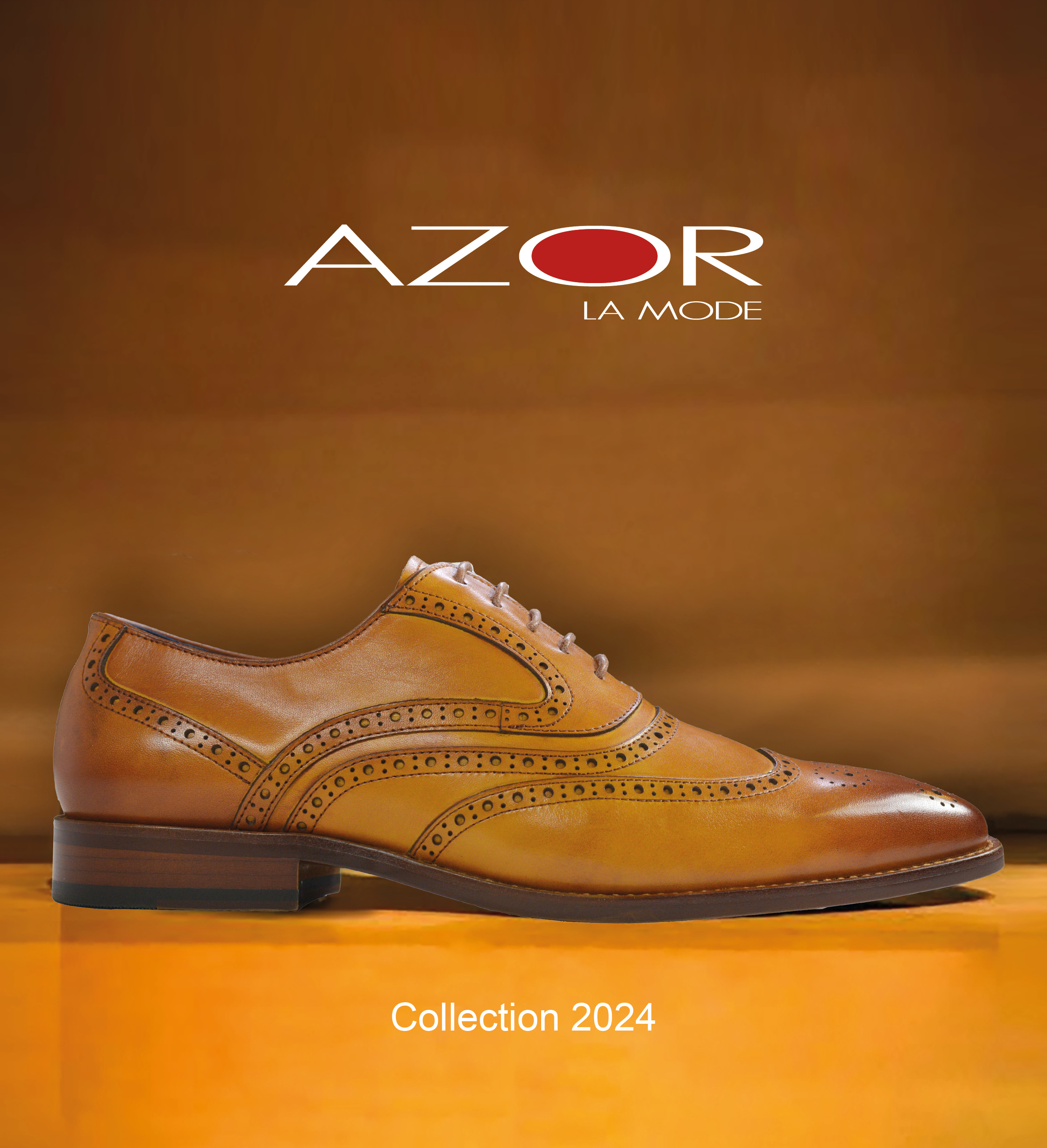 azor-booklet-2024-cover.jpg