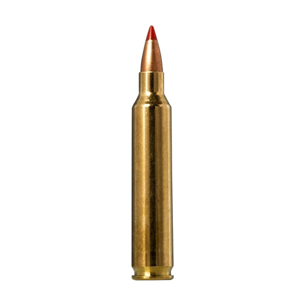 Norma V-Max .204 Ruger 40gr Centerfire Rifle Ammo (20/box) 20156502