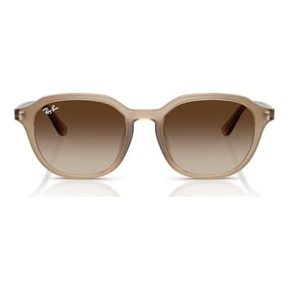 Ray-Ban  Turtledove Gradient Brown 0RB4459D-61661354