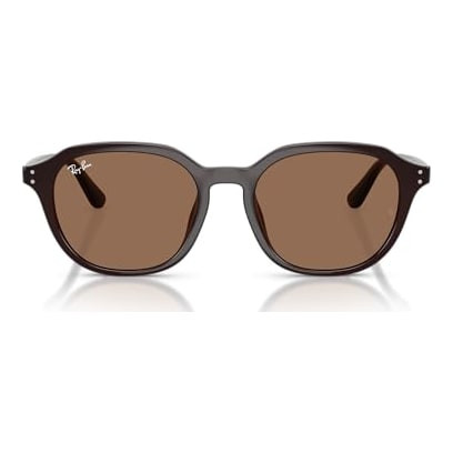 Ray-Ban  Opal Brown Dark Brown 0RB4459D-62317354
