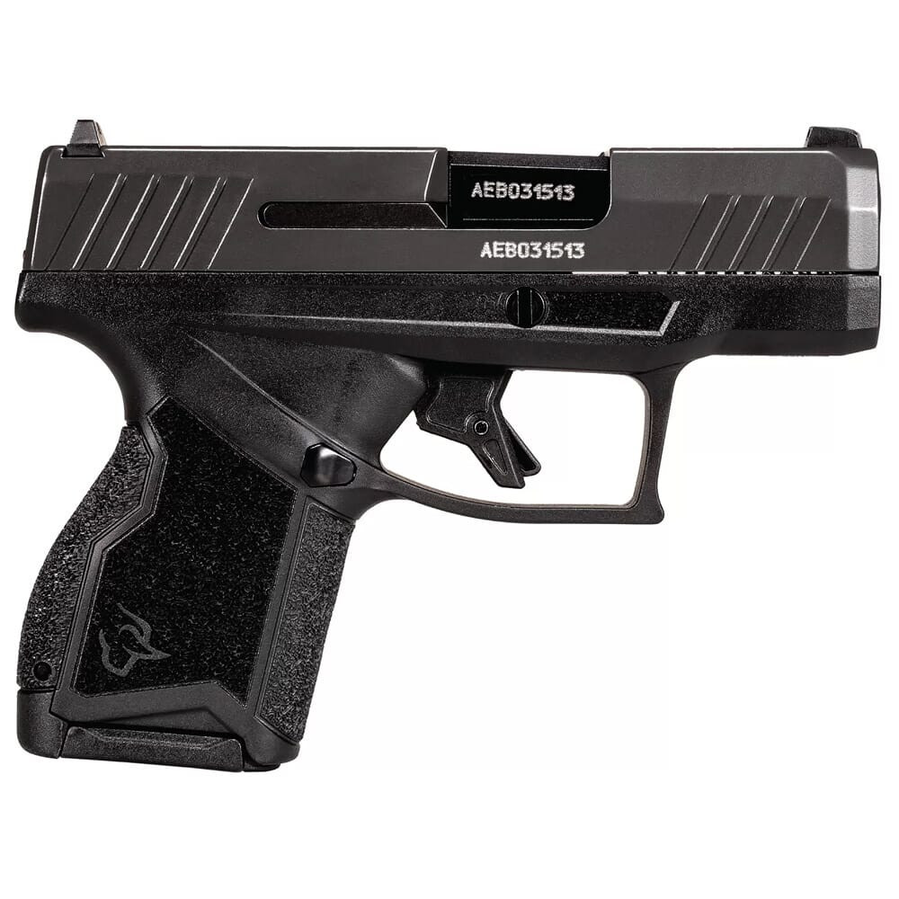 Taurus GX4 9mm Gray Graphene 3"Bbl Pistol w/(2) 10rd Mags 1-GX4M93GR-10