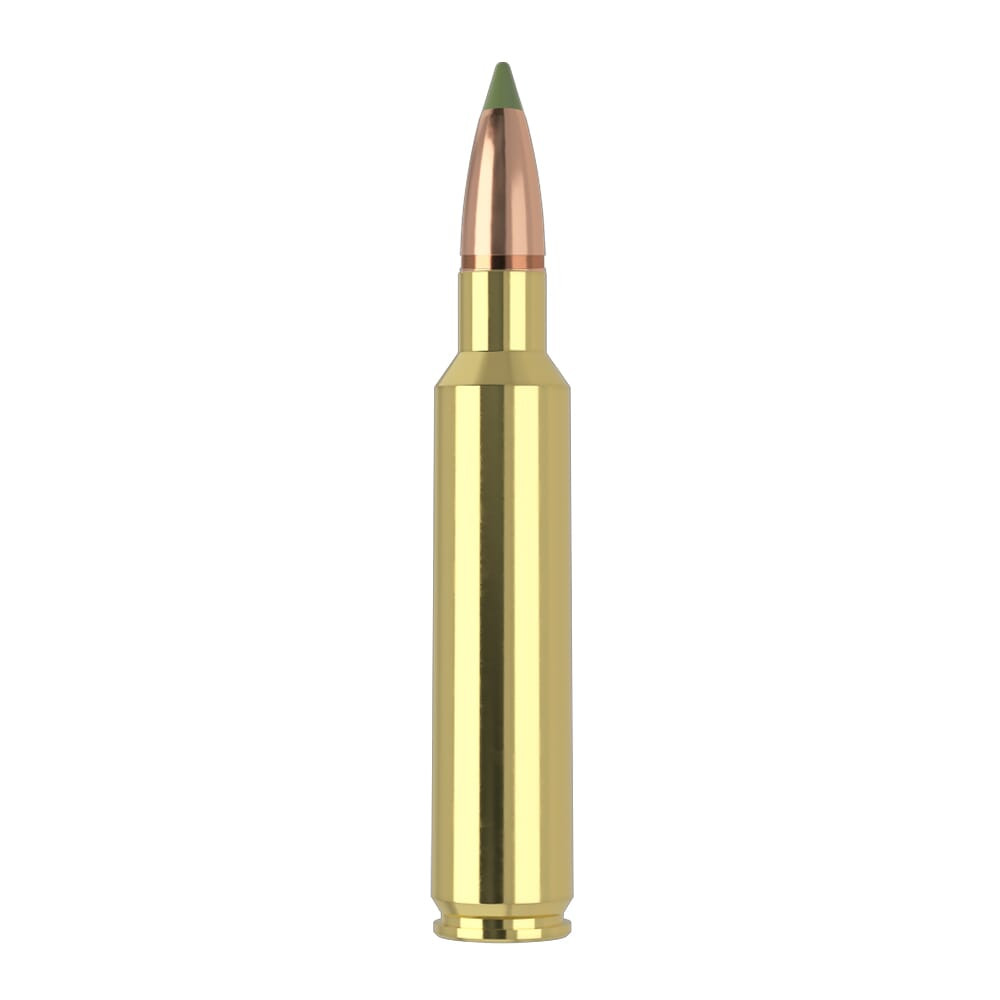 Nosler E-Tip ETA-30 Nosler 180g ET SP (20ct) Ammunition 40330