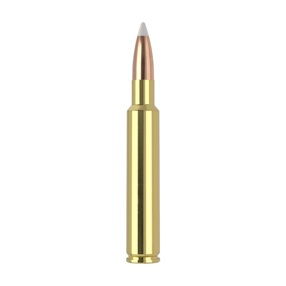 Nosler Trophy Grade TGA-280 Ack Imp 160g AB SP (20ct) Ammunition 60076