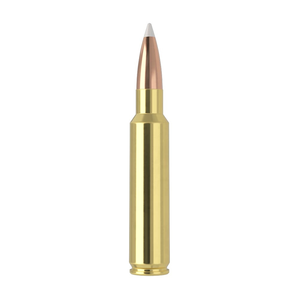 Nosler Trophy Grade TGA-33 Nosler 225g AB SP (20ct) Ammunition 60098