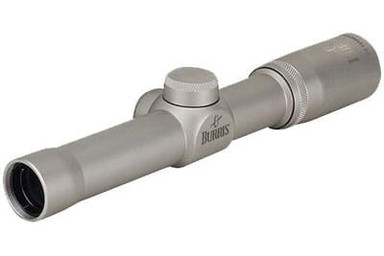 Burris 2X Nic Plex reticle 200229