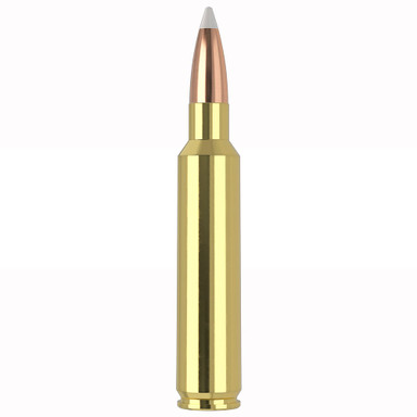 Nosler Trophy Grade TGA-30 Nosler 180g AB SP (20ct) Ammunition 60117